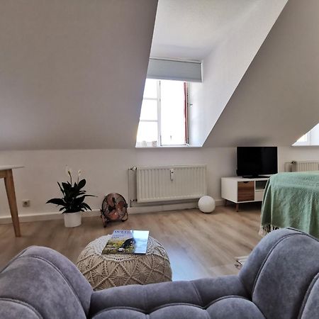 Fynbos Apartments In Der Altstadt, Frauenkirche, Historisch, Parkplatz Meißen المظهر الخارجي الصورة