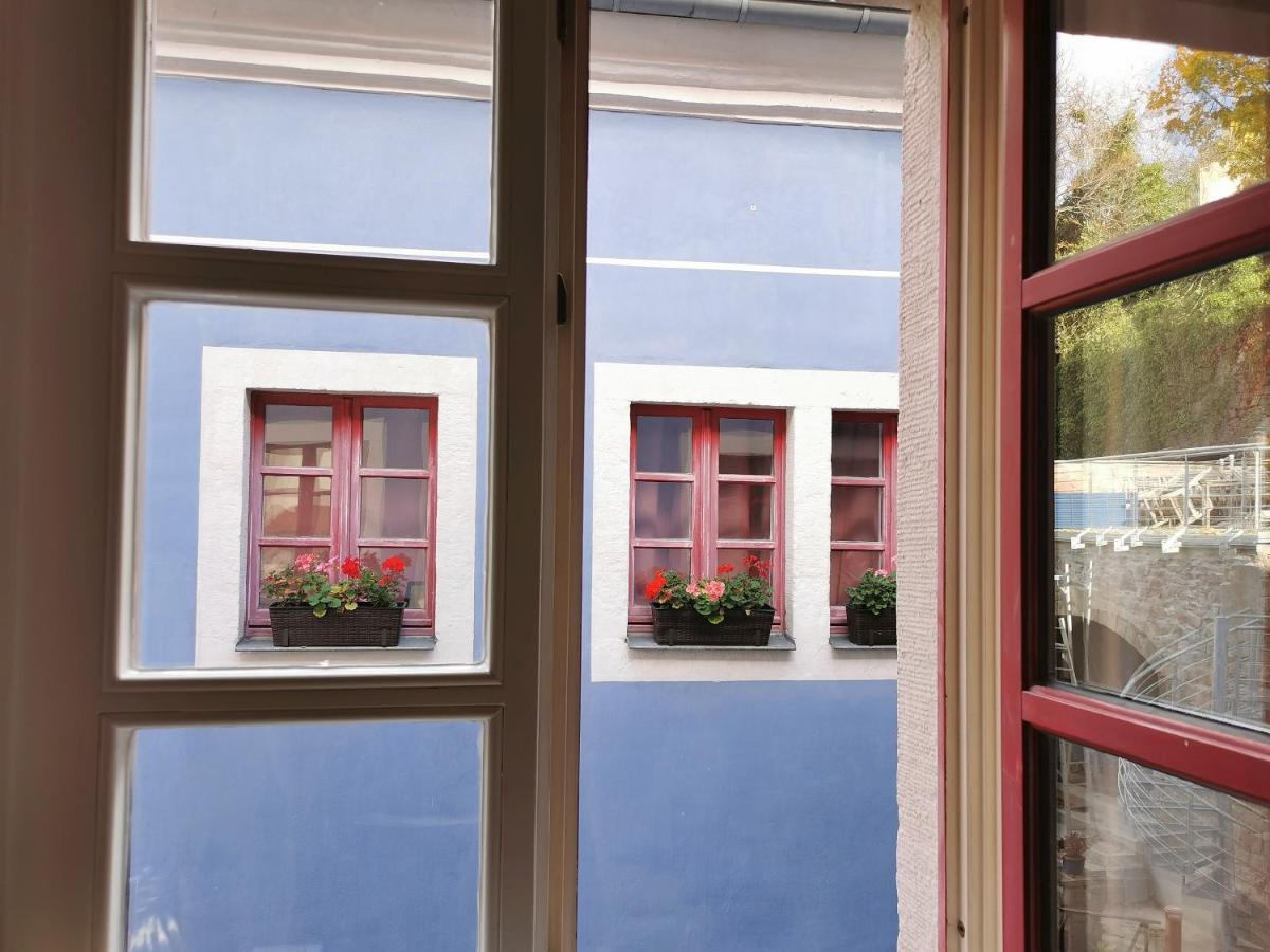 Fynbos Apartments In Der Altstadt, Frauenkirche, Historisch, Parkplatz Meißen المظهر الخارجي الصورة