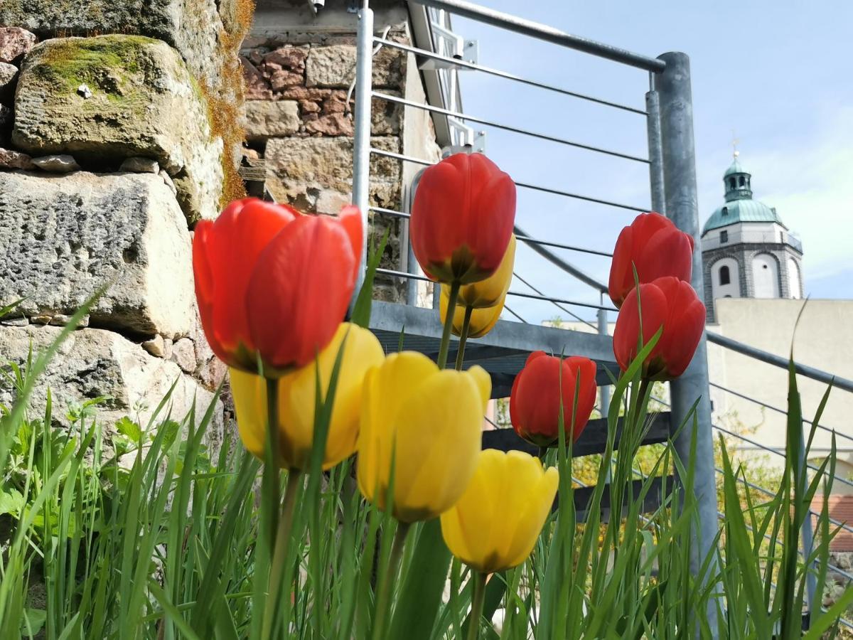 Fynbos Apartments In Der Altstadt, Frauenkirche, Historisch, Parkplatz Meißen المظهر الخارجي الصورة