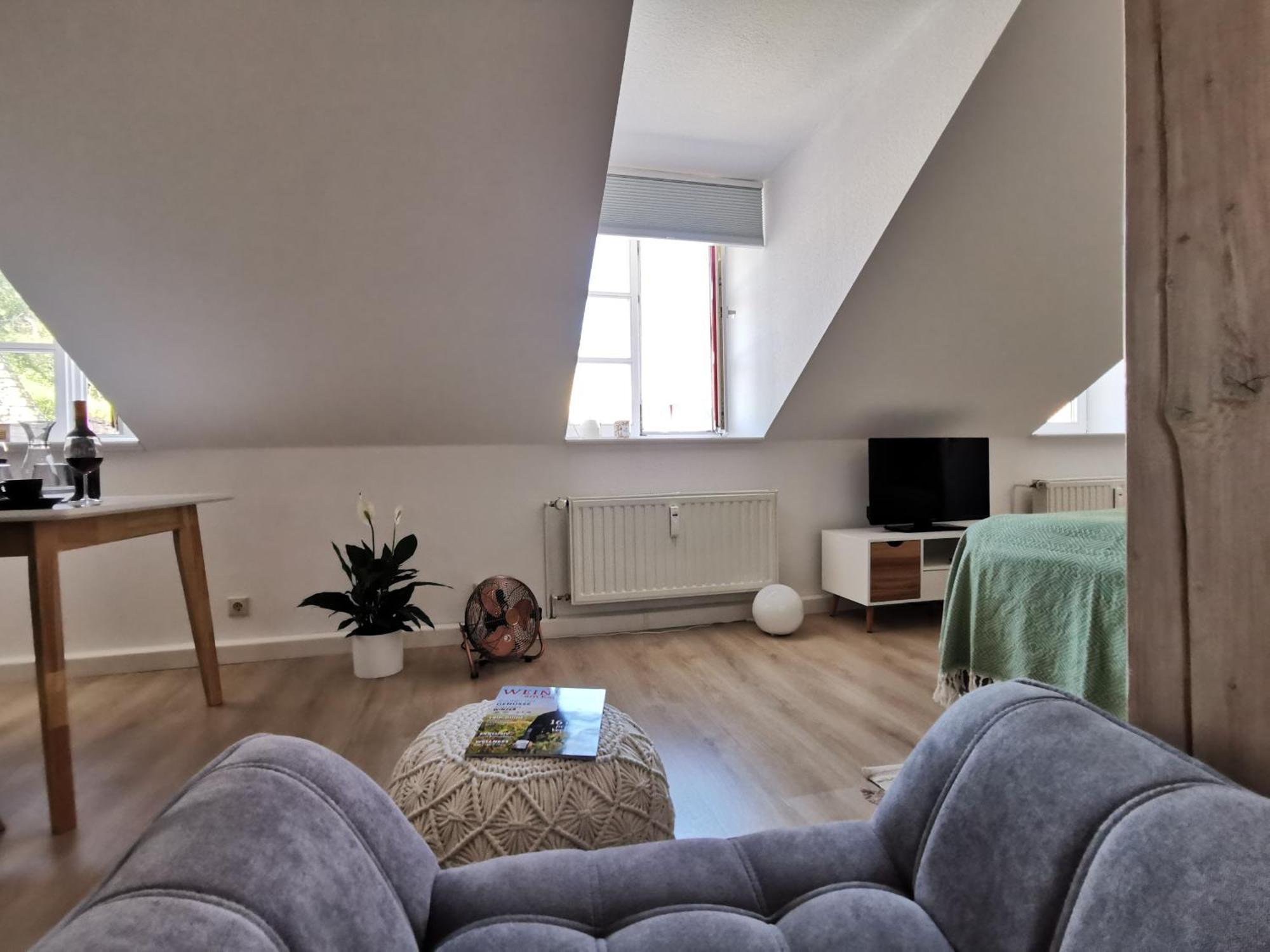 Fynbos Apartments In Der Altstadt, Frauenkirche, Historisch, Parkplatz Meißen المظهر الخارجي الصورة